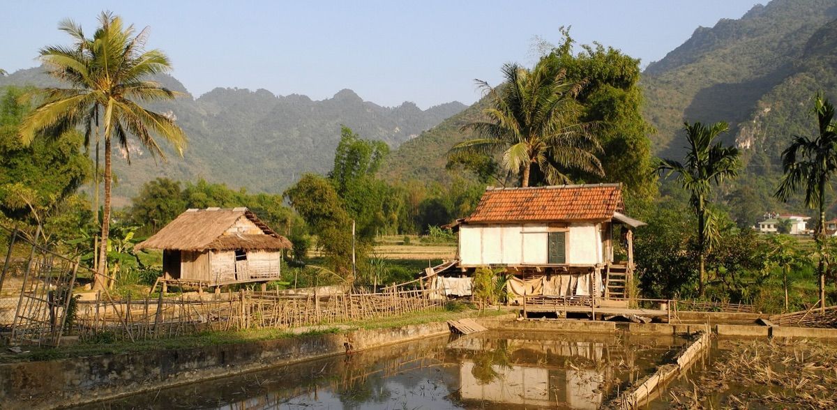 Mai Chau